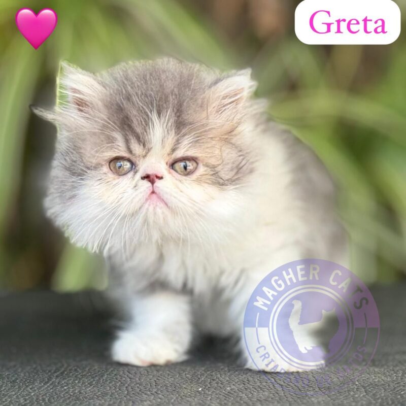 GRETA